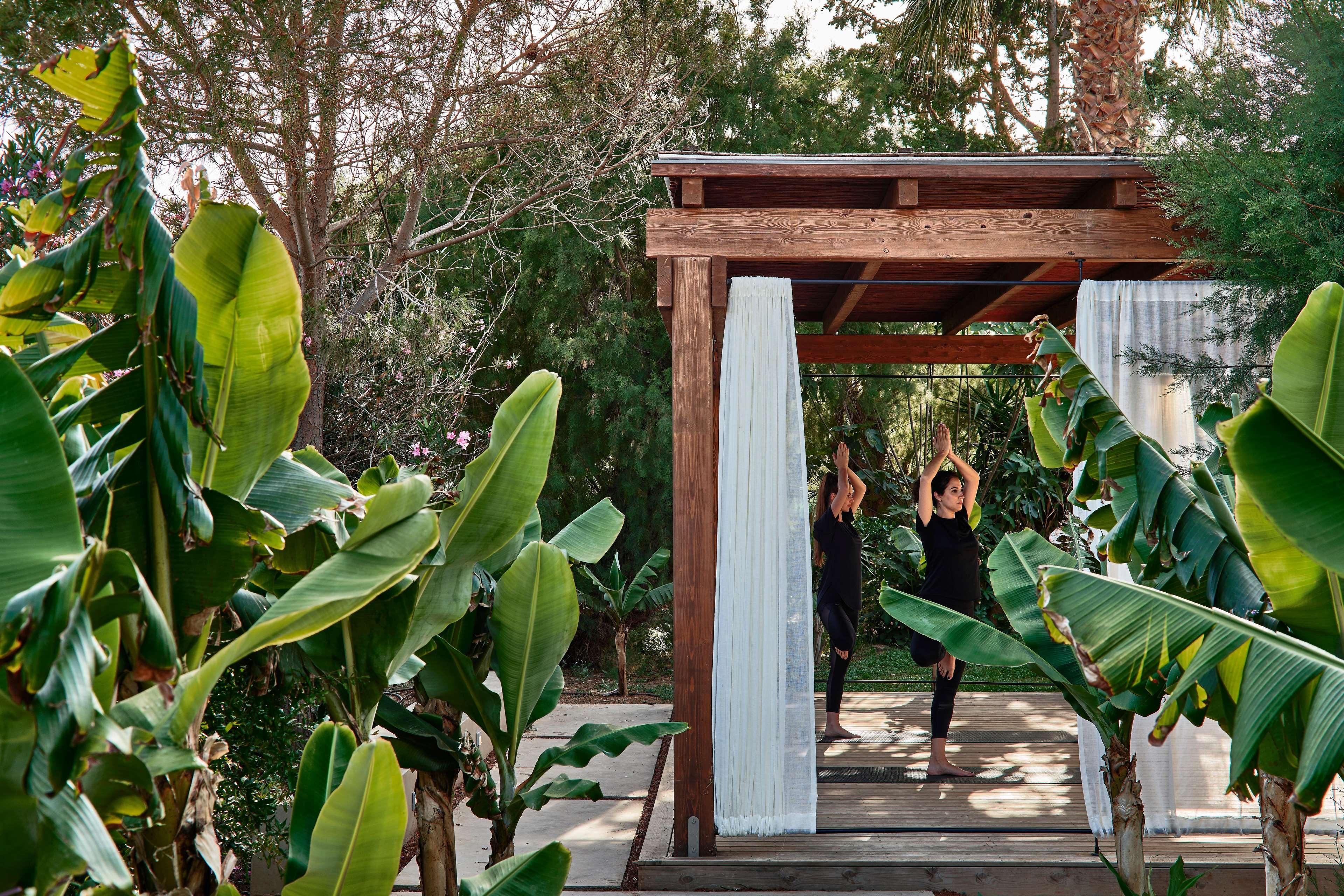 Phaea Cretan Malia, A Member Of Design Hotels エクステリア 写真