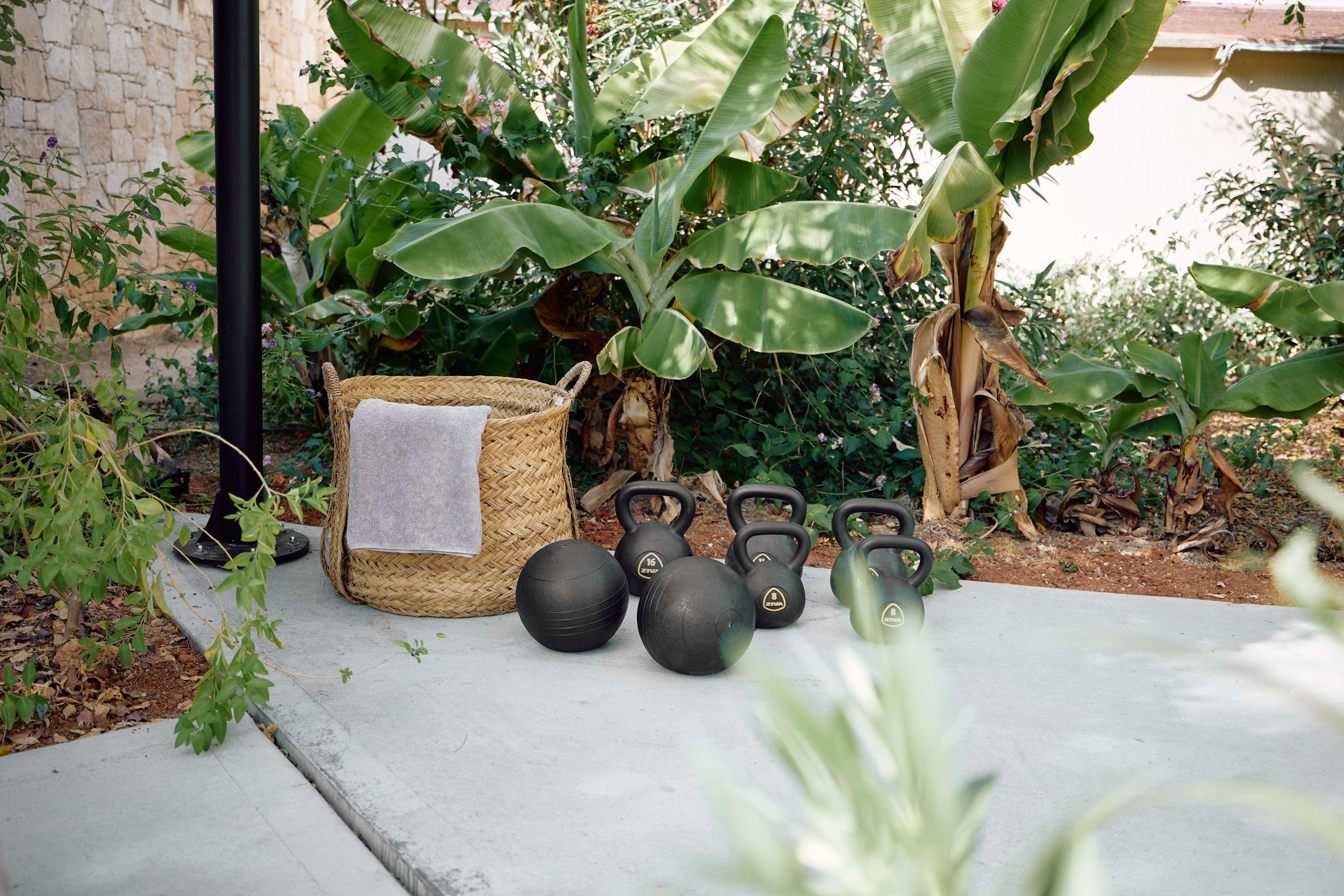 Phaea Cretan Malia, A Member Of Design Hotels エクステリア 写真