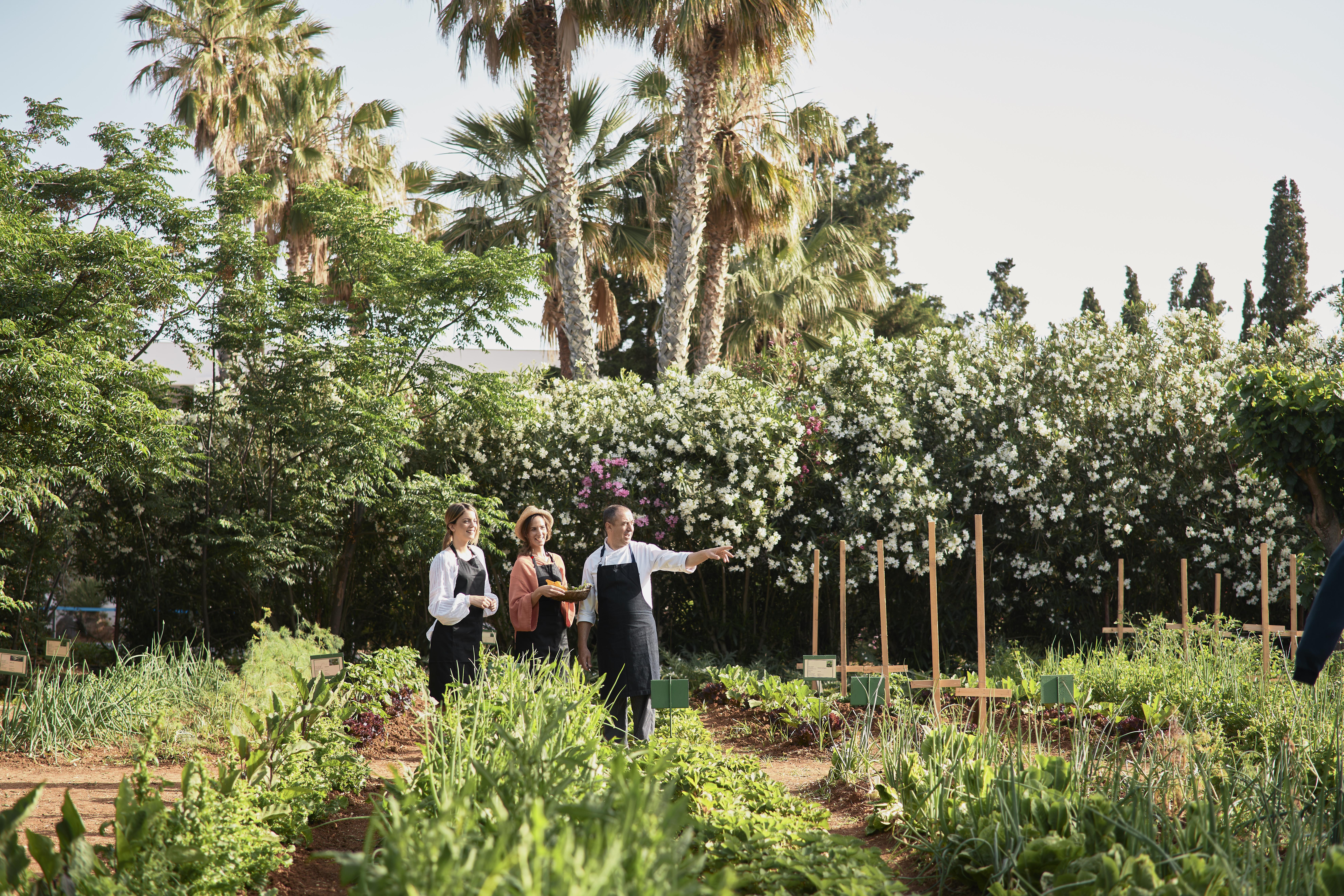 Phaea Cretan Malia, A Member Of Design Hotels エクステリア 写真