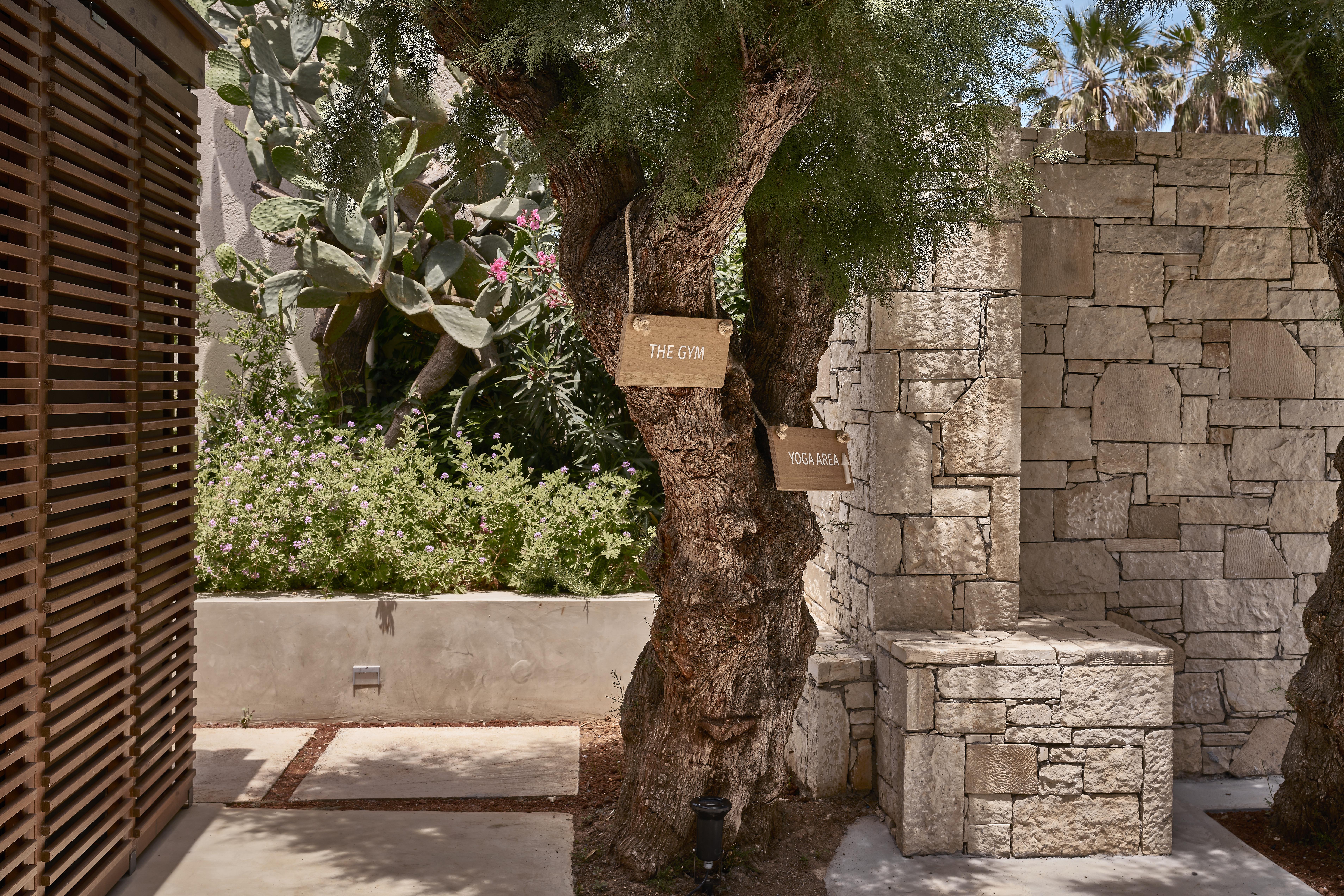 Phaea Cretan Malia, A Member Of Design Hotels エクステリア 写真