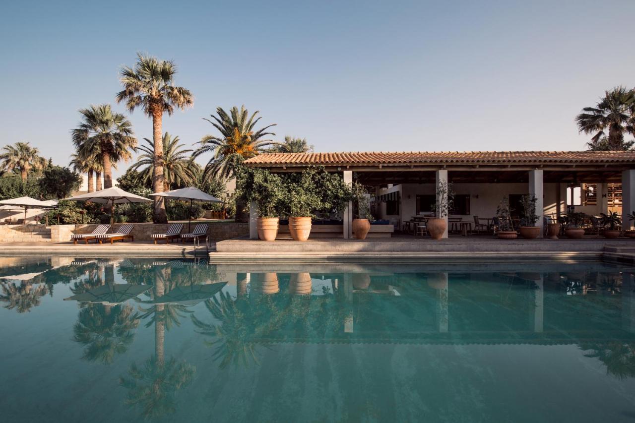 Phaea Cretan Malia, A Member Of Design Hotels エクステリア 写真